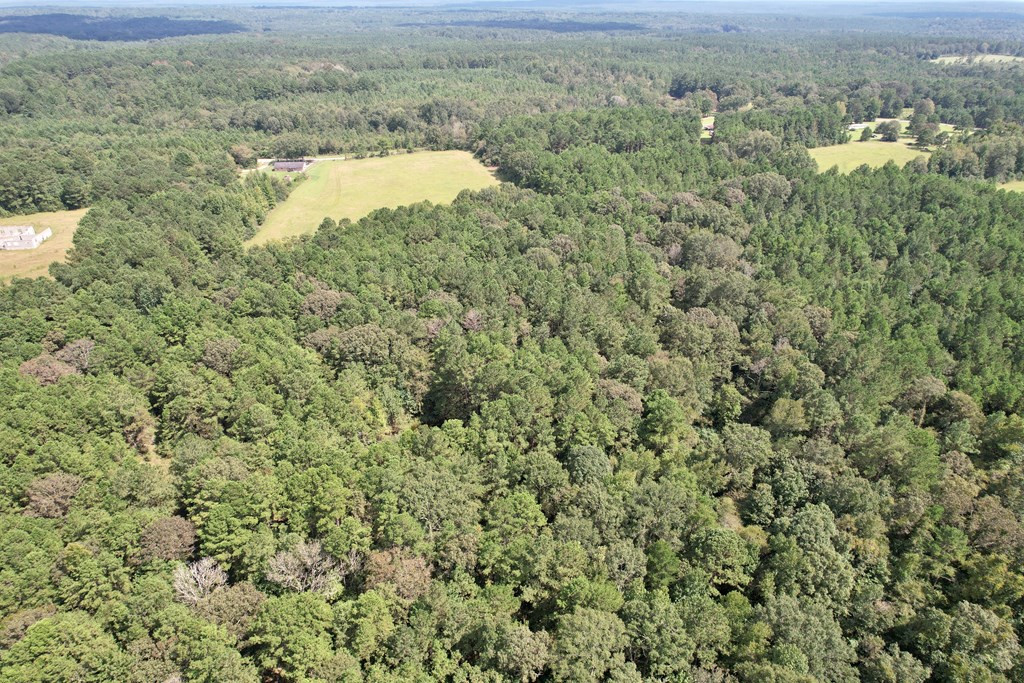 Tbd Rose Hill Road Silver Creek, MS 39663 - Photo 11 of 18 Photo 11