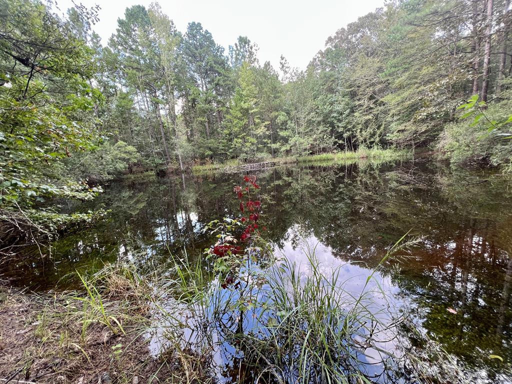 Tbd Rose Hill Road Silver Creek, MS 39663 - Photo 2 of 18 Photo 2
