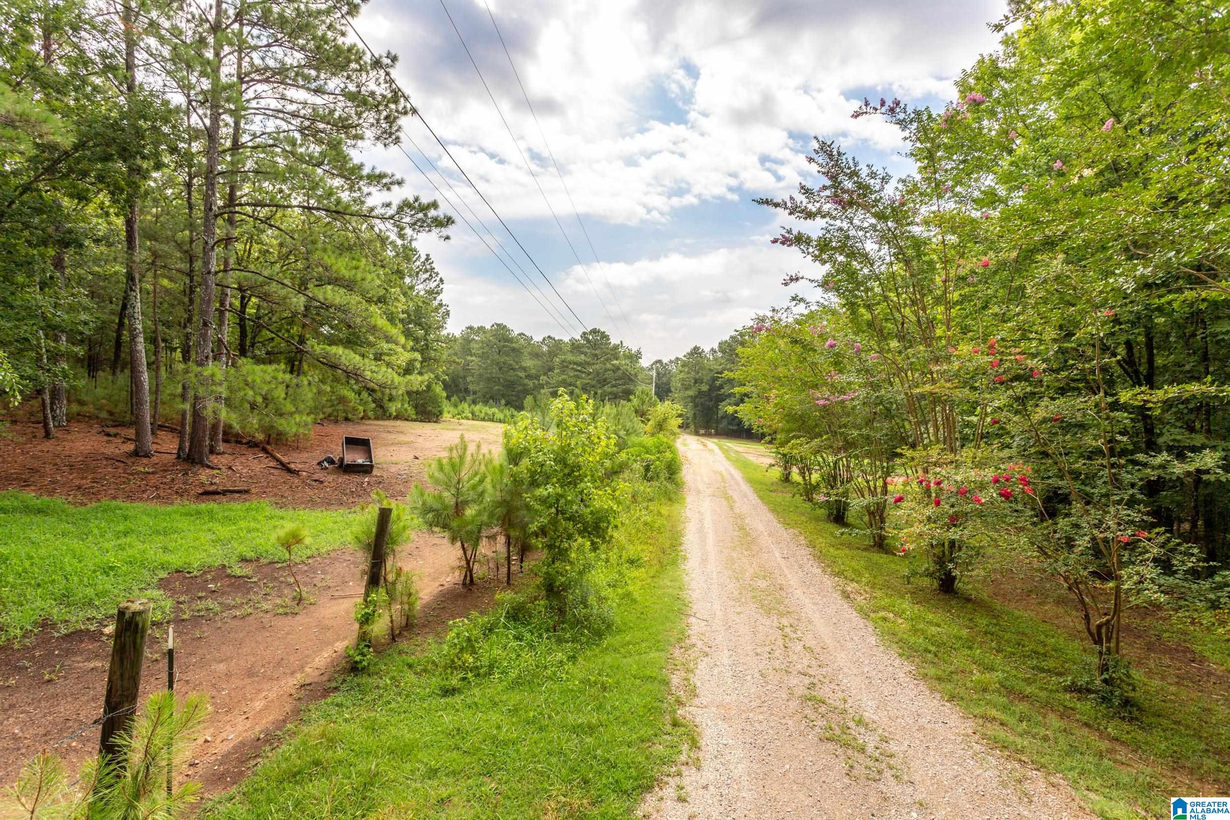 631 Holland-Finley Road Jacksonville, AL 36265 - Photo 22 of 26