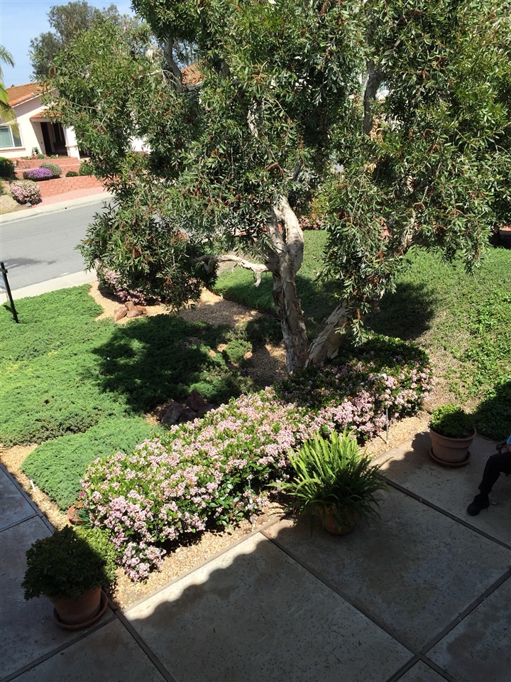 1609 Olmeda Street Encinitas, CA 92024 - Photo 12 of 13 Looking down from master deck.