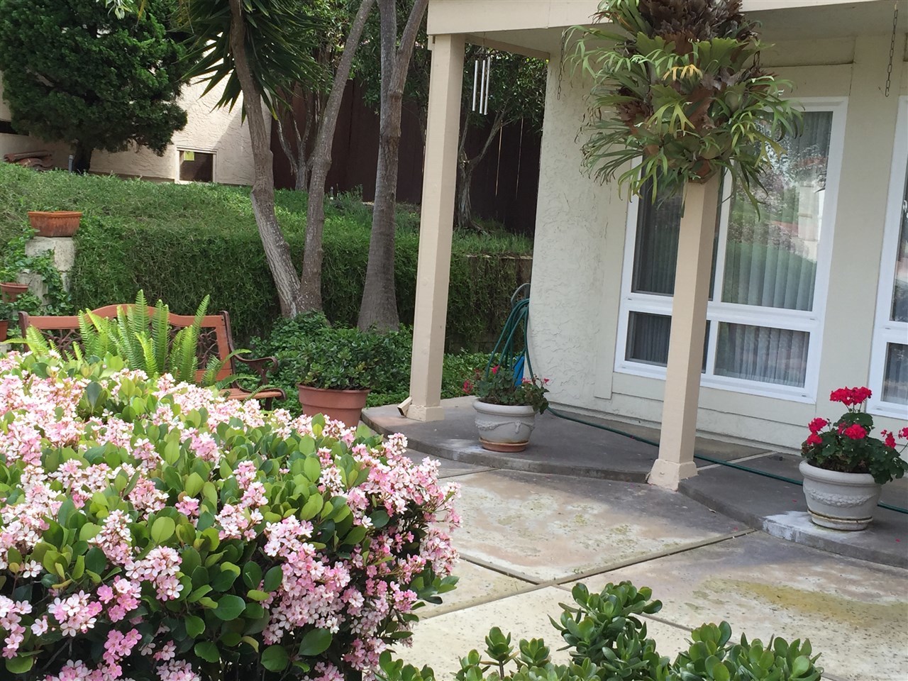 1609 Olmeda Street Encinitas, CA 92024 - Photo 3 of 13 Front Patio