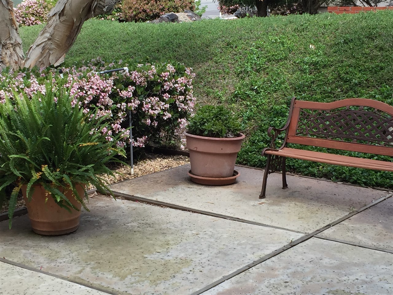 1609 Olmeda Street Encinitas, CA 92024 - Photo 4 of 13 Gallery Image 4