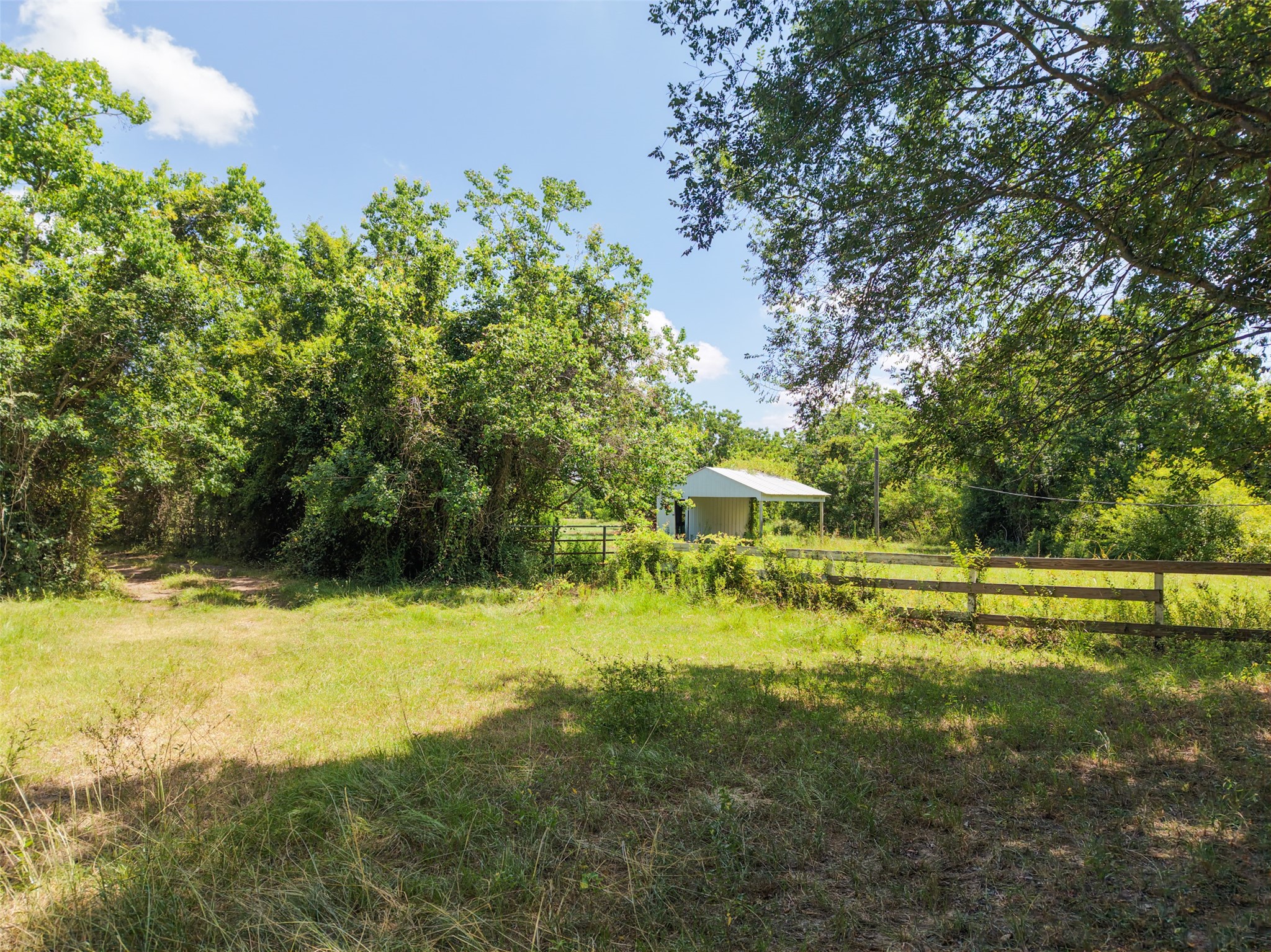 28619 Barry Lane Waller, TX 77484 - Photo 12 of 28 Peaceful approach framed by mature trees leading to the open homesite and surrounding acreage.