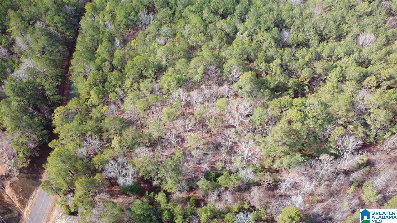 Landmark Road Talladega, AL 35160 - Photo 3 of 8