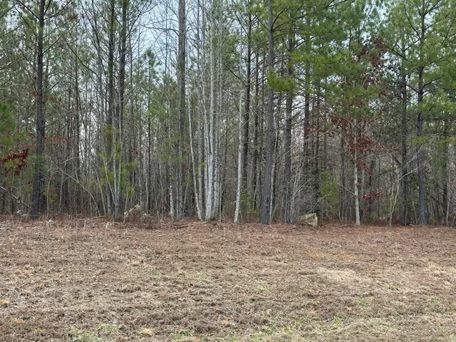 $145,000 | 0 Raulston Falls Drive, Unit 99, Jasper, TN 37347