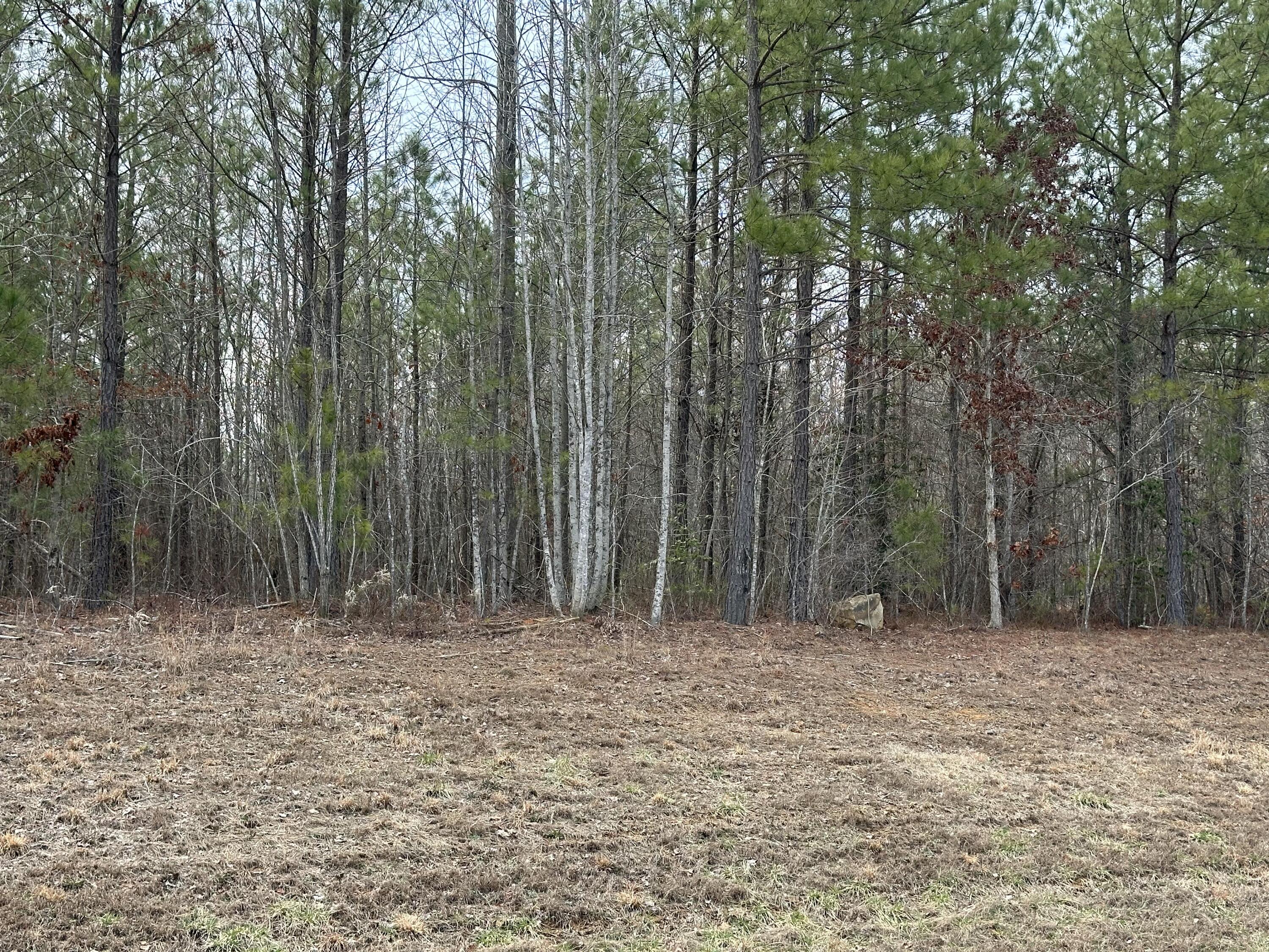 0 Raulston Falls Drive, Unit 99 Jasper, TN 37347 - Photo 3 of 28 IMG_4896