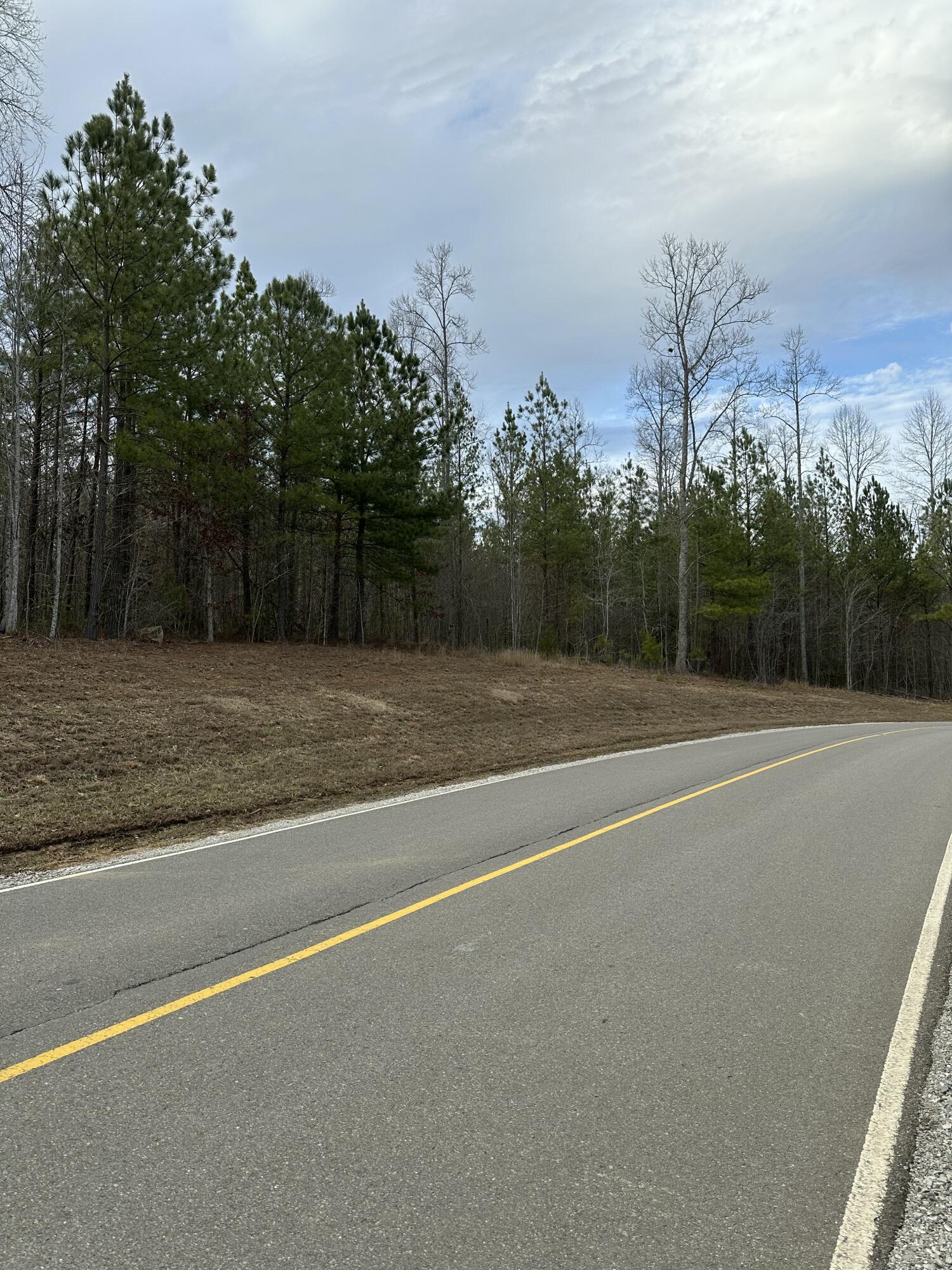 0 Raulston Falls Drive, Unit 99 Jasper, TN 37347 - Photo 4 of 28 IMG_4898