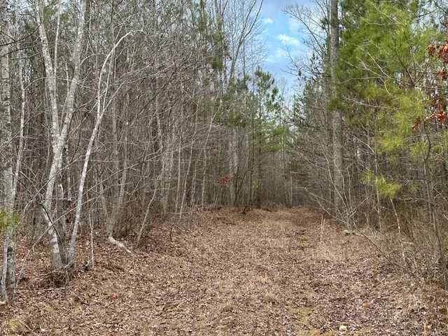 $145,000 | 0 Raulston Falls Drive, Unit 99, Jasper, TN 37347