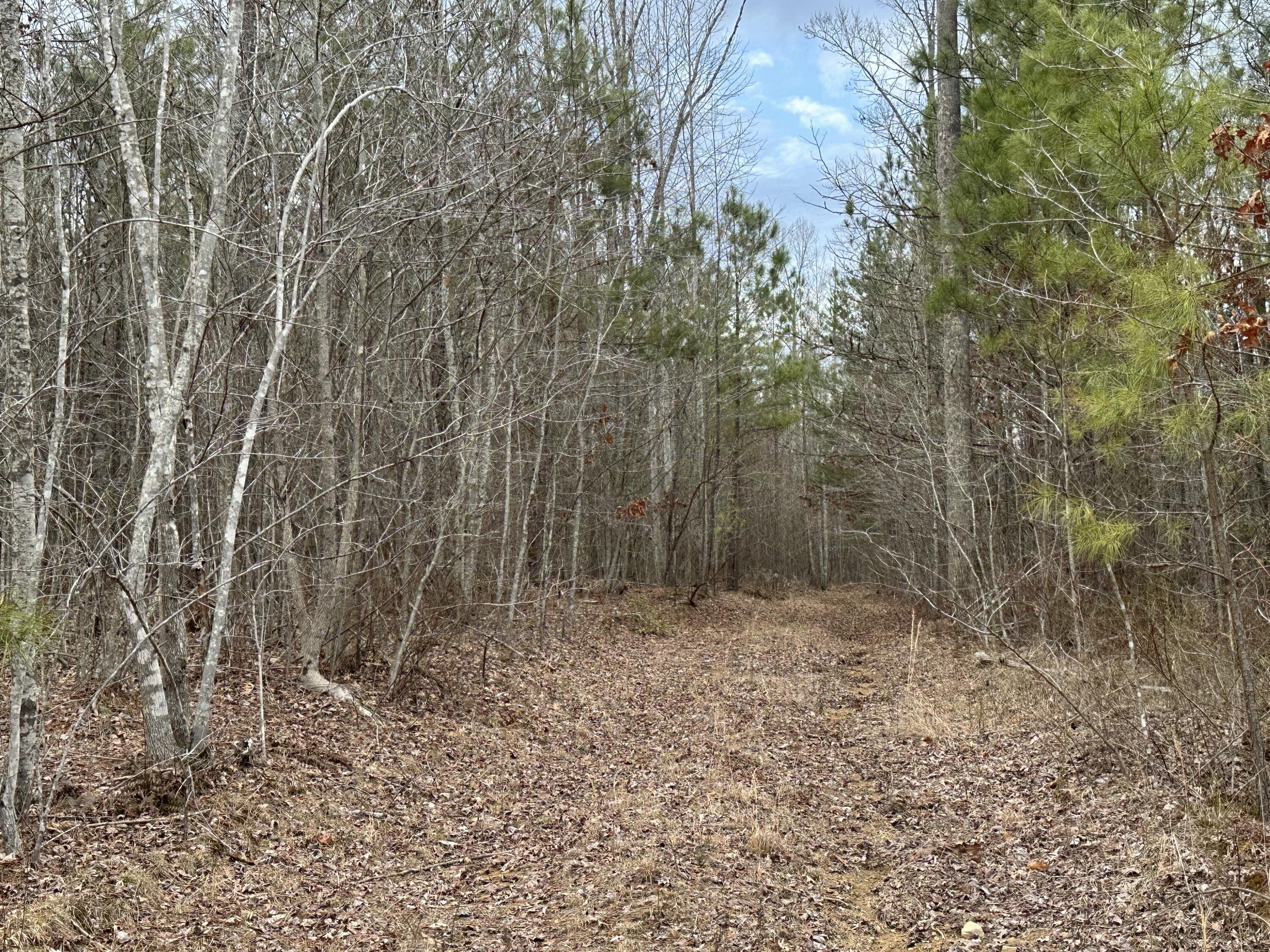 0 Raulston Falls Drive, Unit 99 Jasper, TN 37347 - Photo 6 of 28 IMG_4900