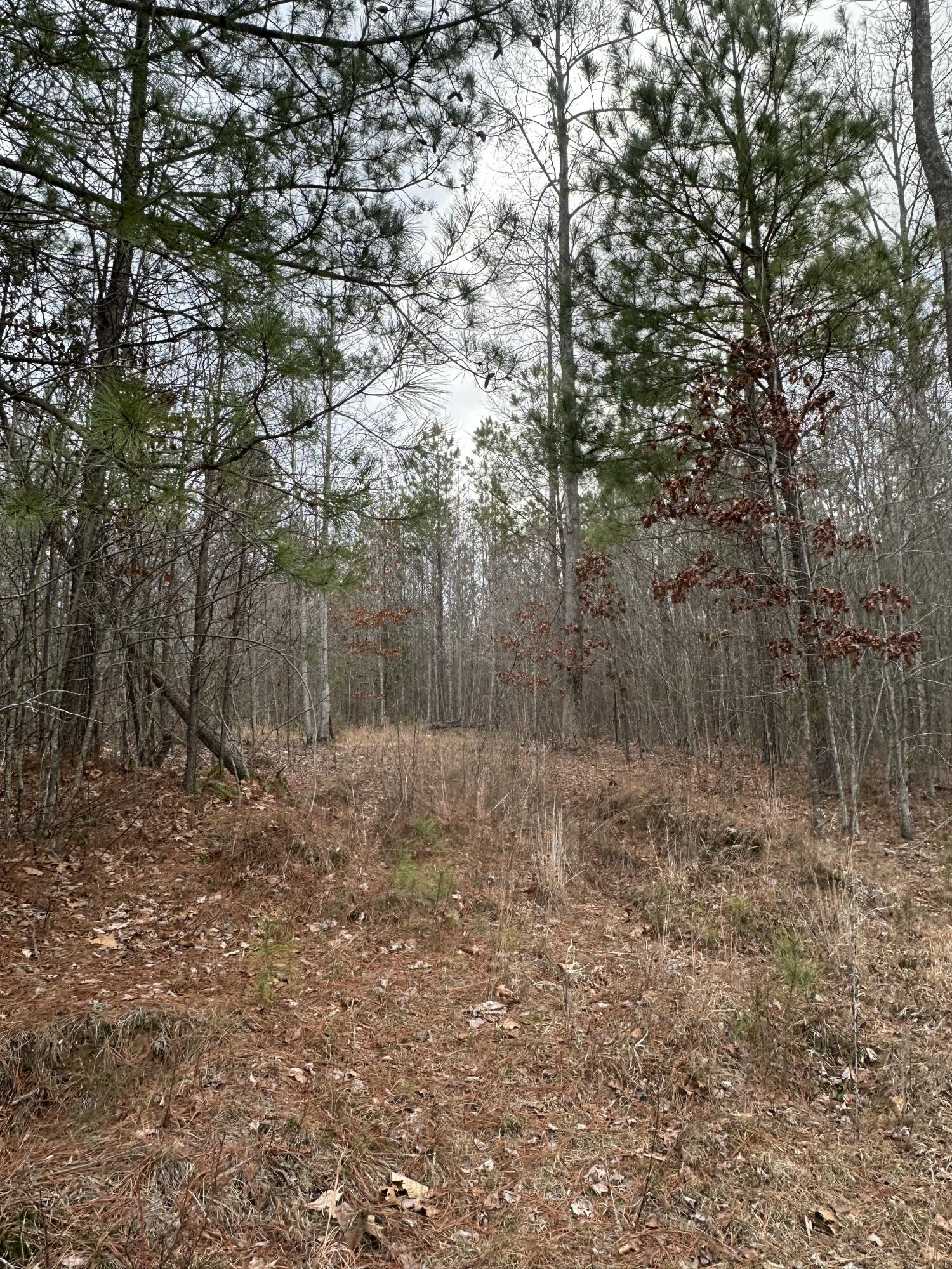 0 Raulston Falls Drive, Unit 99 Jasper, TN 37347 - Photo 7 of 28 IMG_4904