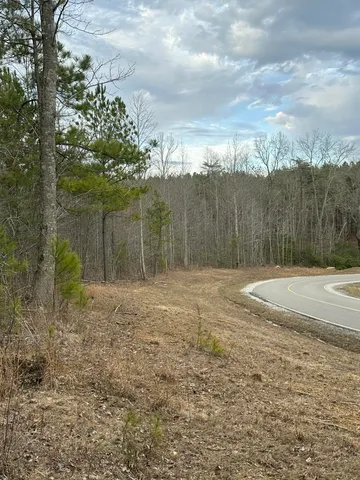 $145,000 | 0 Raulston Falls Drive, Unit 99, Jasper, TN 37347