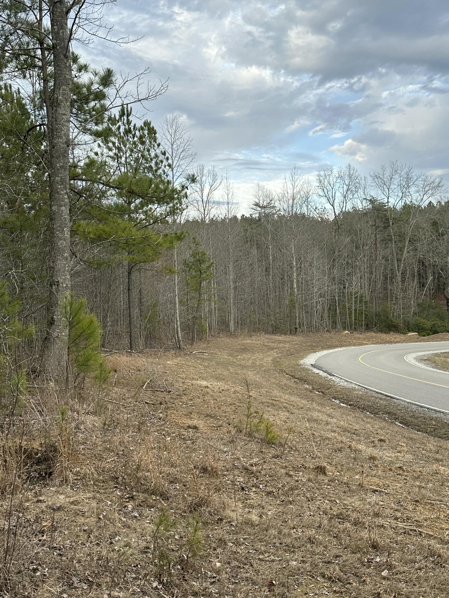 0 Raulston Falls Drive, Unit 99 Jasper, TN 37347 - Photo 8 of 28 IMG_4905