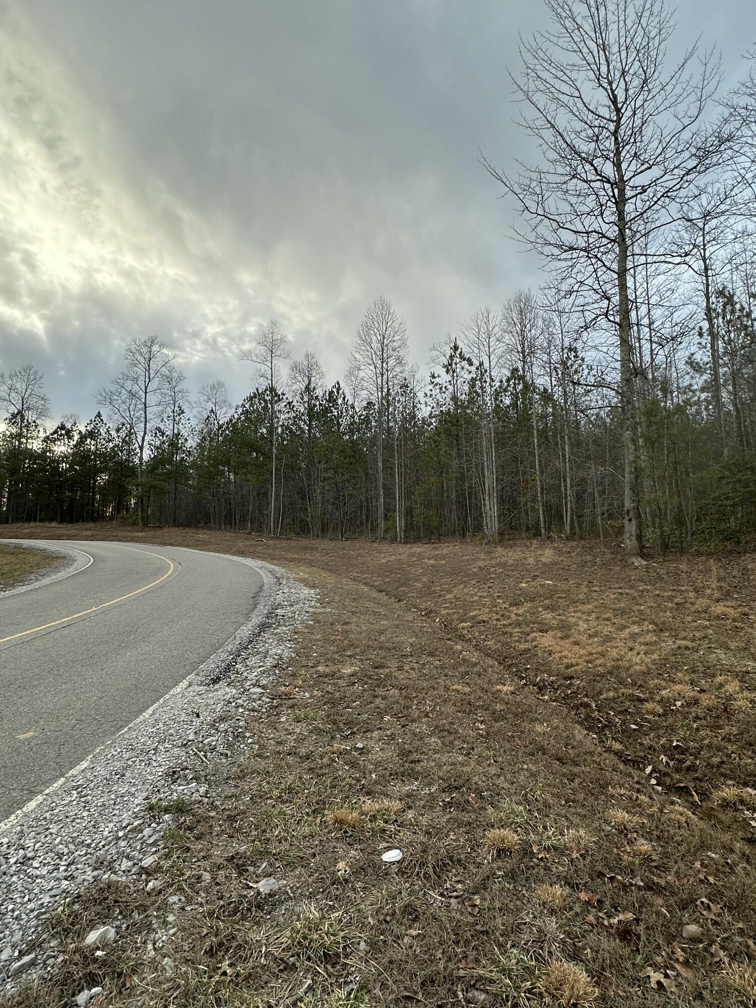 0 Raulston Falls Drive, Unit 99 Jasper, TN 37347 - Photo 9 of 28 IMG_4912