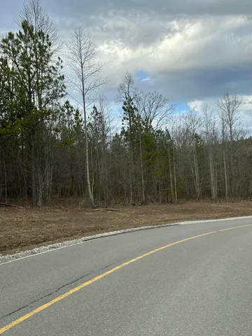 $145,000 | 0 Raulston Falls Drive, Unit 99, Jasper, TN 37347