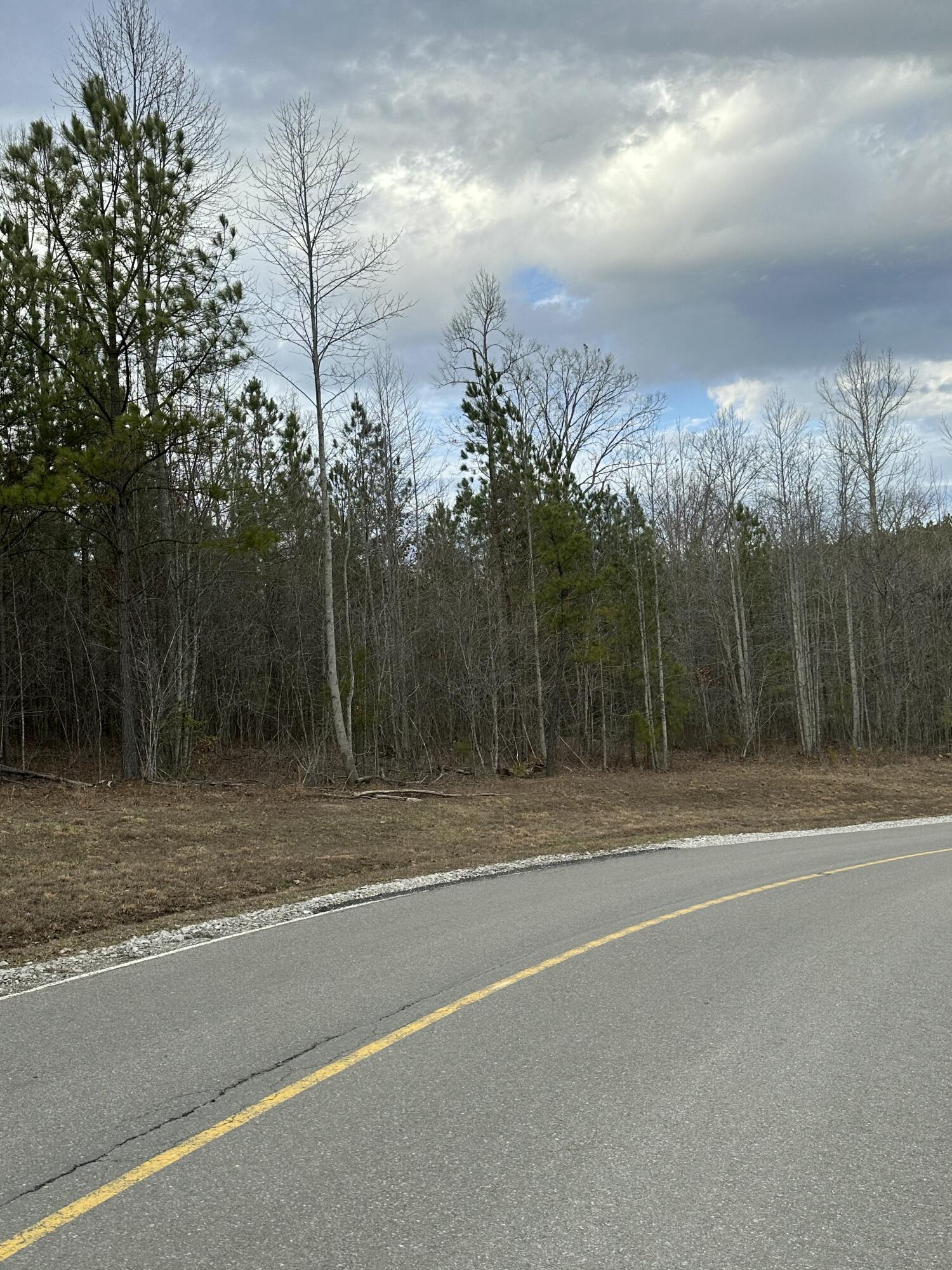 0 Raulston Falls Drive, Unit 99 Jasper, TN 37347 - Photo 10 of 28 IMG_4913