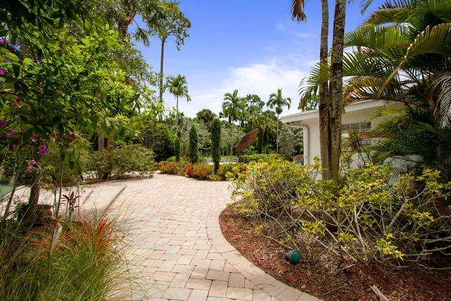 a view of a yard with plants