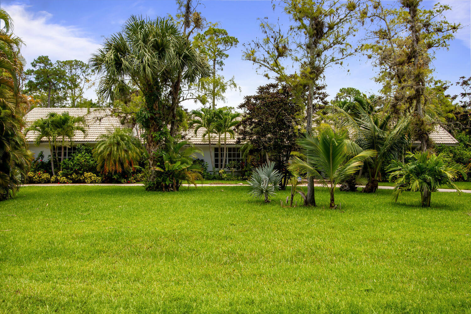12327 Quercus Lane Wellington, FL 33414 - Photo 27 of 34 a view of a park with large trees
