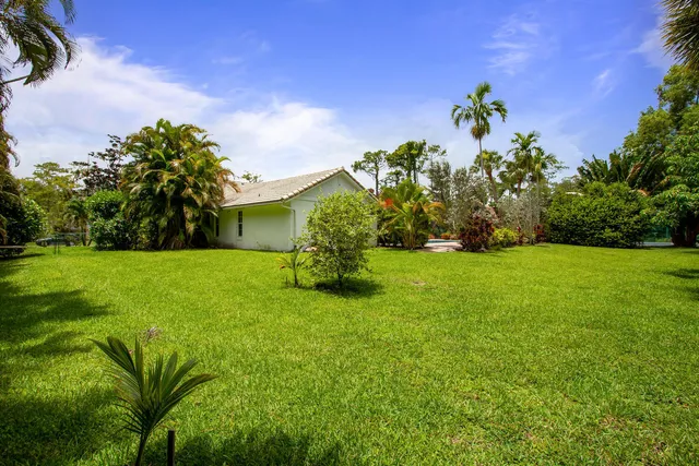 a view of a garden with a tree