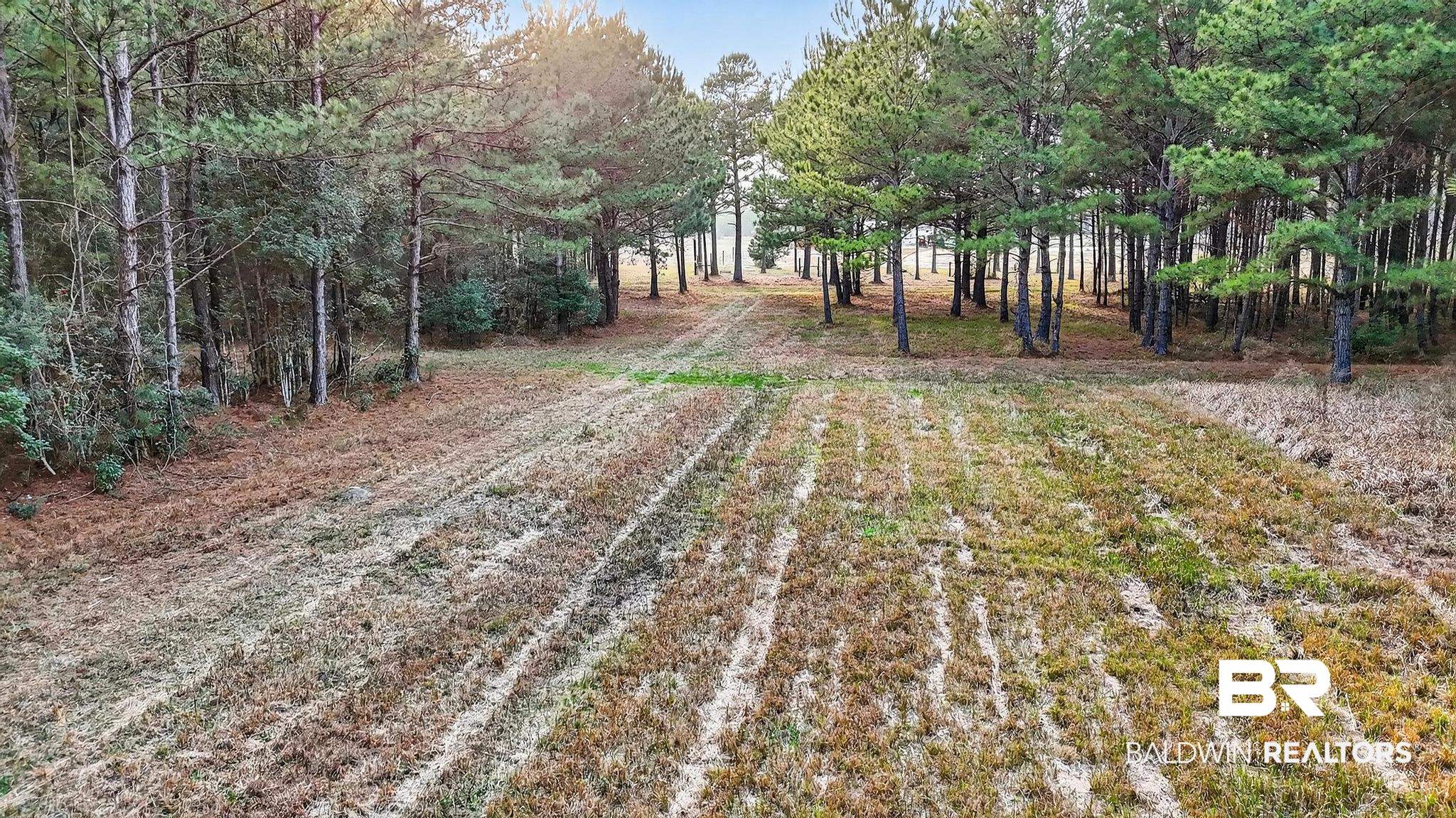 0 Hemley Road Bayou La Batre, AL 36509 - Photo 21 of 28