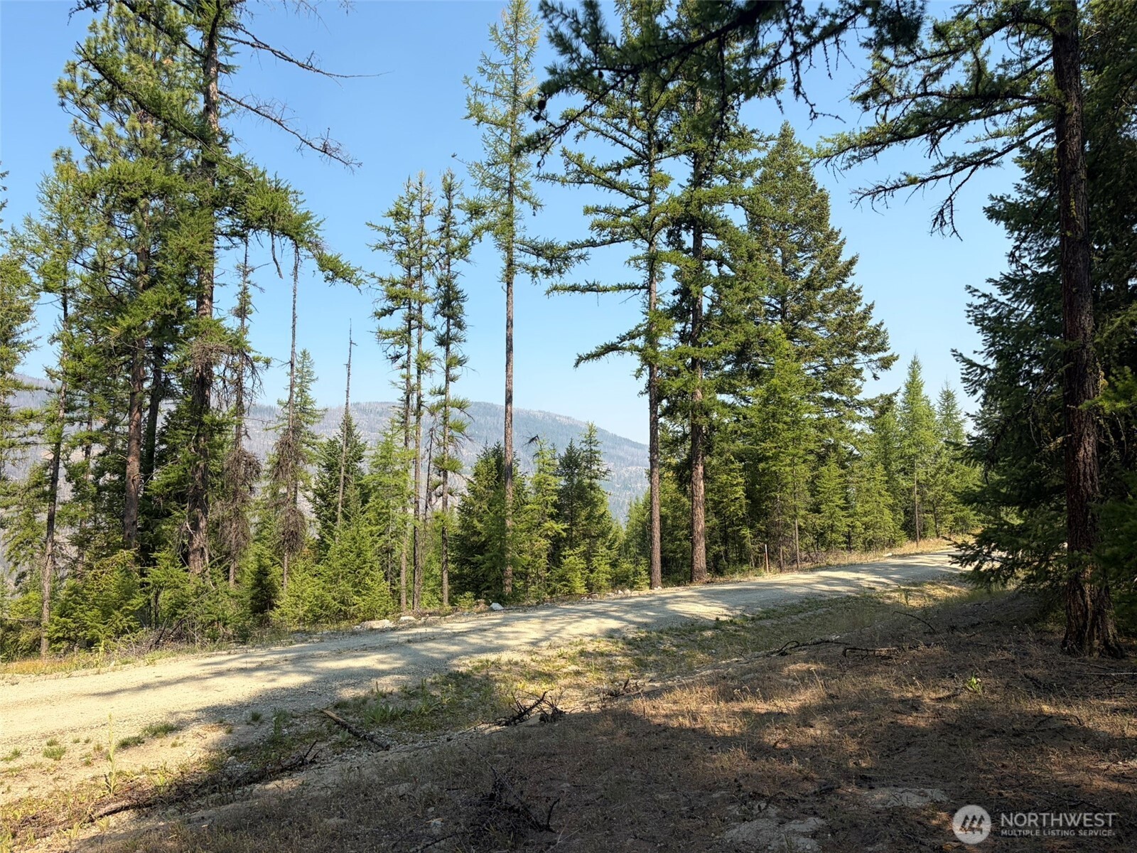 111-tbd Summer Road Tonasket, WA 98855 - Photo 26 of 28 Gallery Image 26