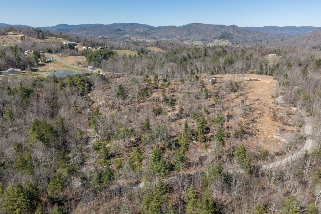 3014 Pine Mountain Road Independence, VA 24348 - Photo 34 of 50 Gallery Image 34