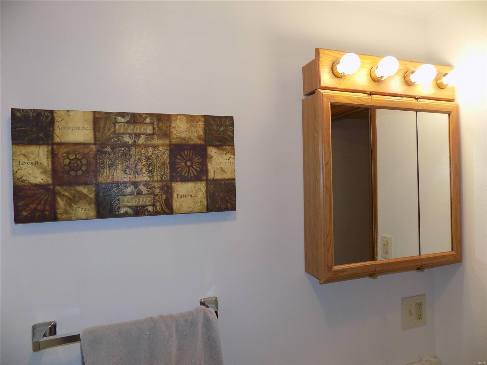 515 East Chain Of Rocks Road Granite City, IL 62040 - Photo 36 of 47
