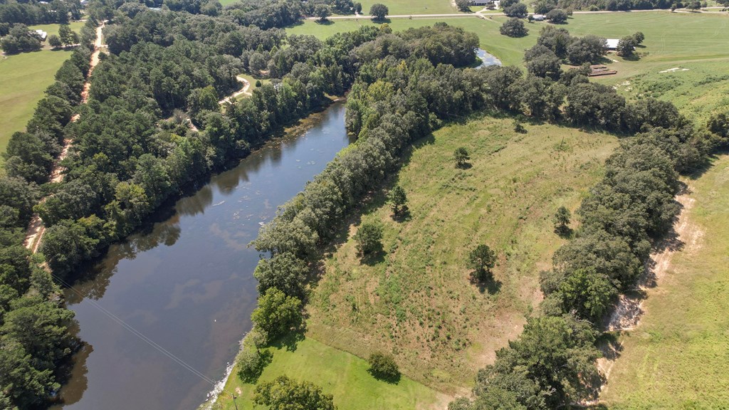 1314 Fern Road Slocomb, AL 36375 - Photo 52 of 68 Pond