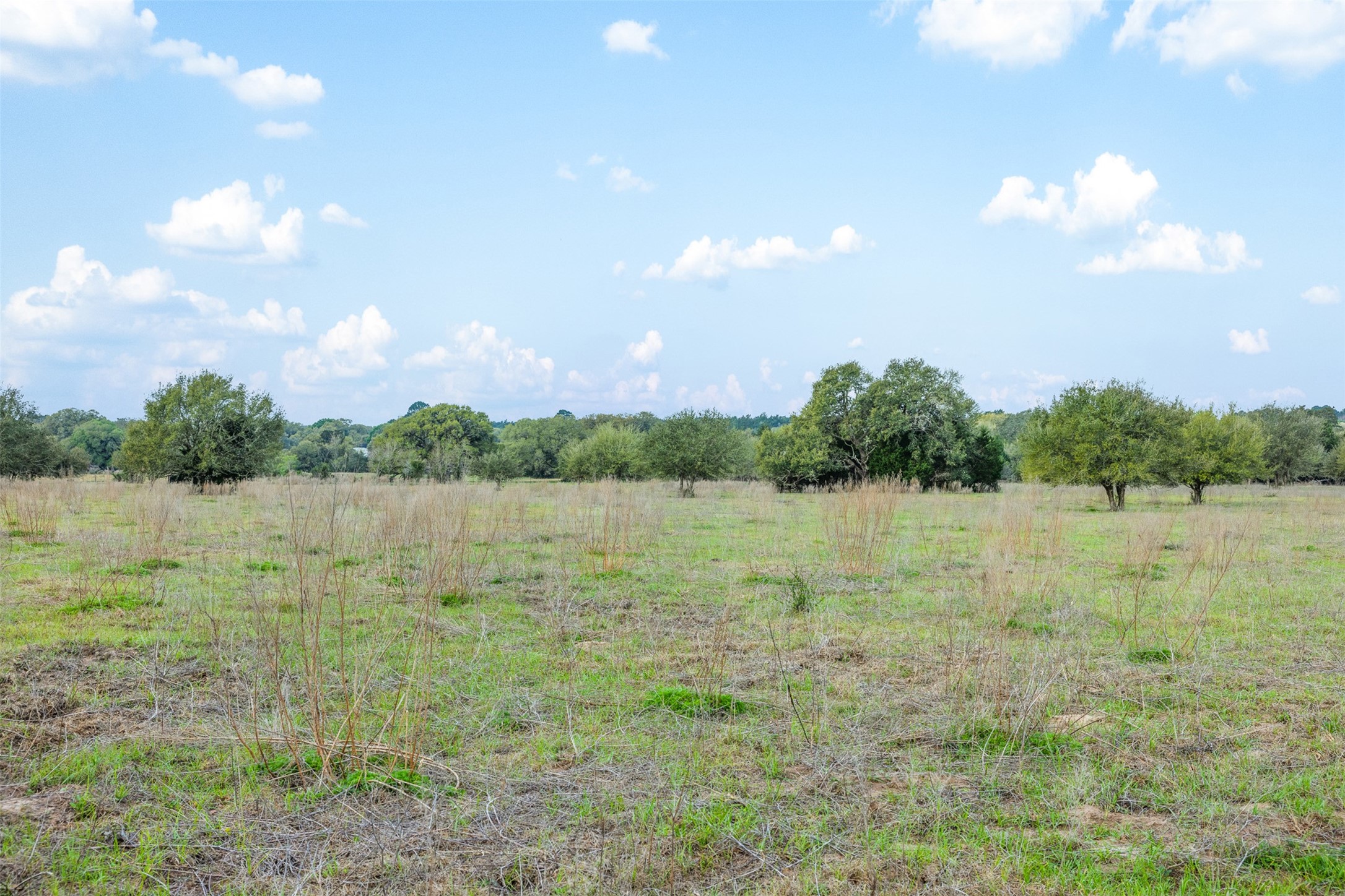 1017 New Ulm Road Cat Spring, TX 78933 - Photo 12 of 25