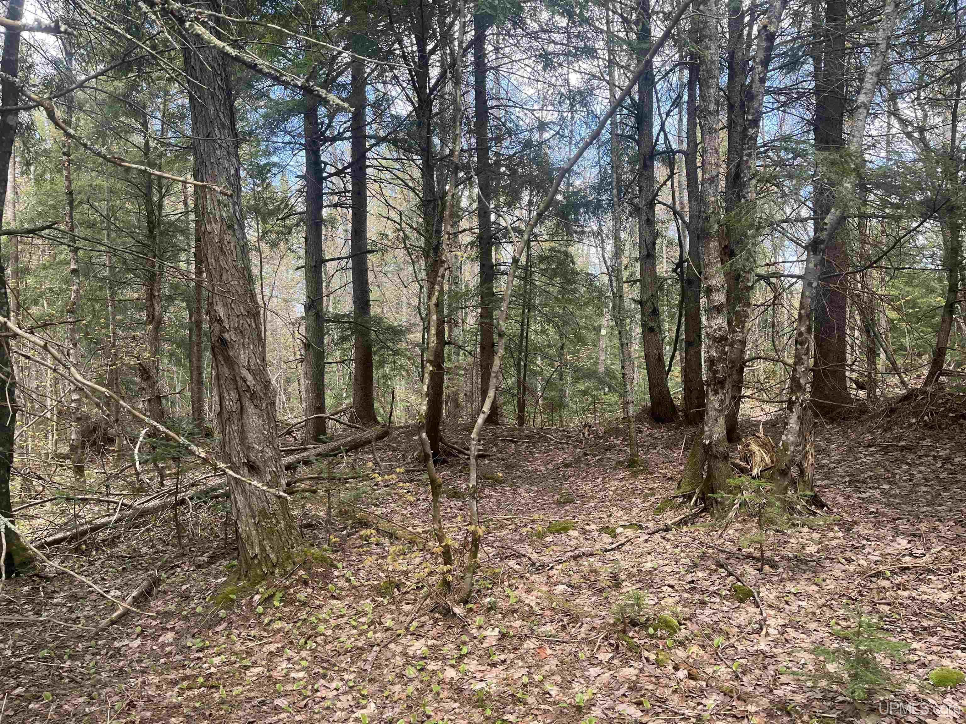450 Rd Seney Mi 49883 Road Seney, MI 49883 - Photo 17 of 33
