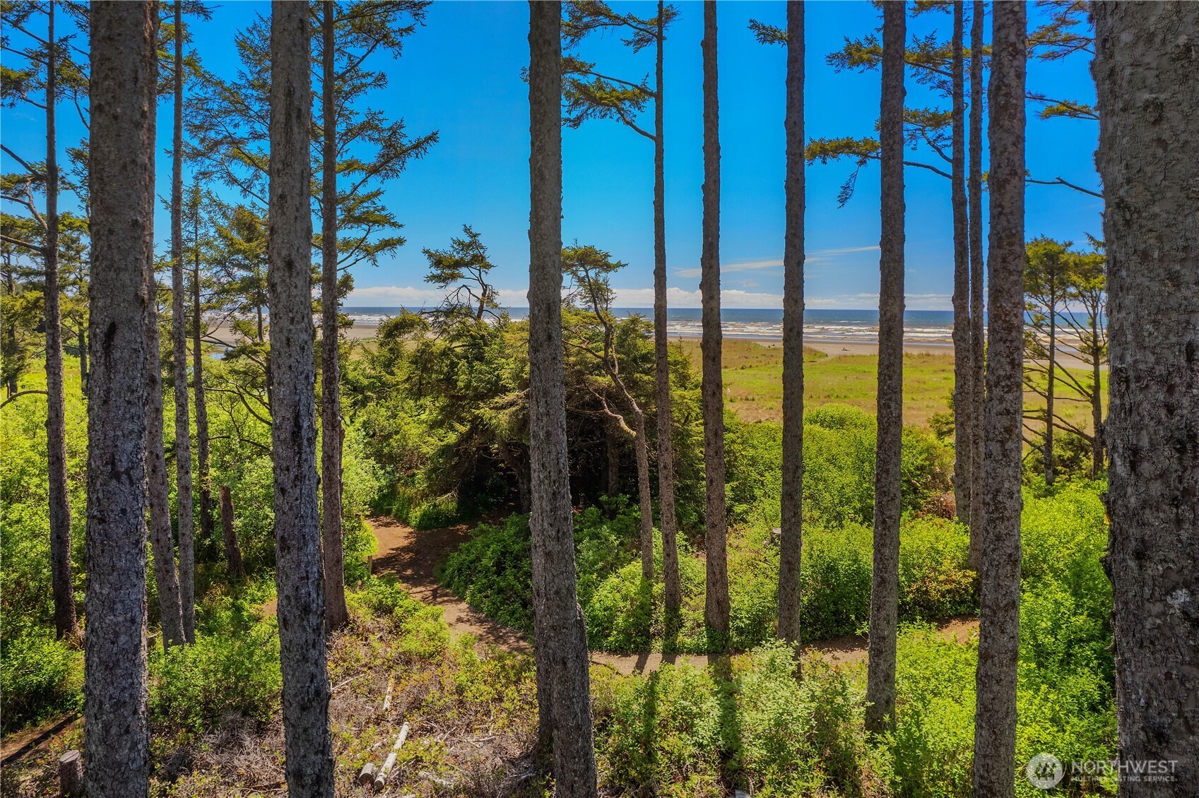 34 Seaside Lane Pacific Beach, WA 98571 - Photo 2 of 33 a view of swimming pool from a balcony