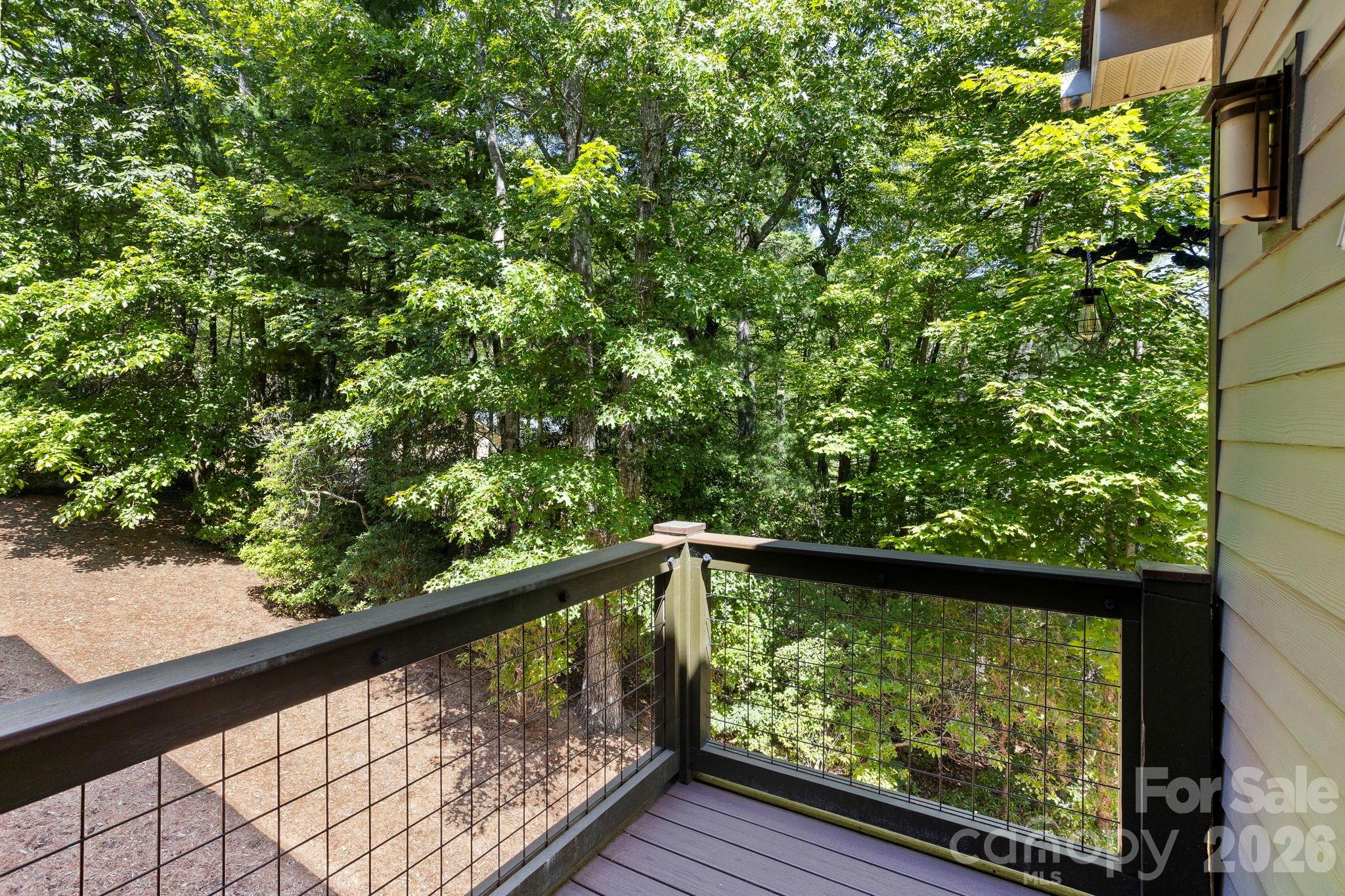 426 Eagle Ridge Road Zirconia, NC 28790 - Photo 47 of 48