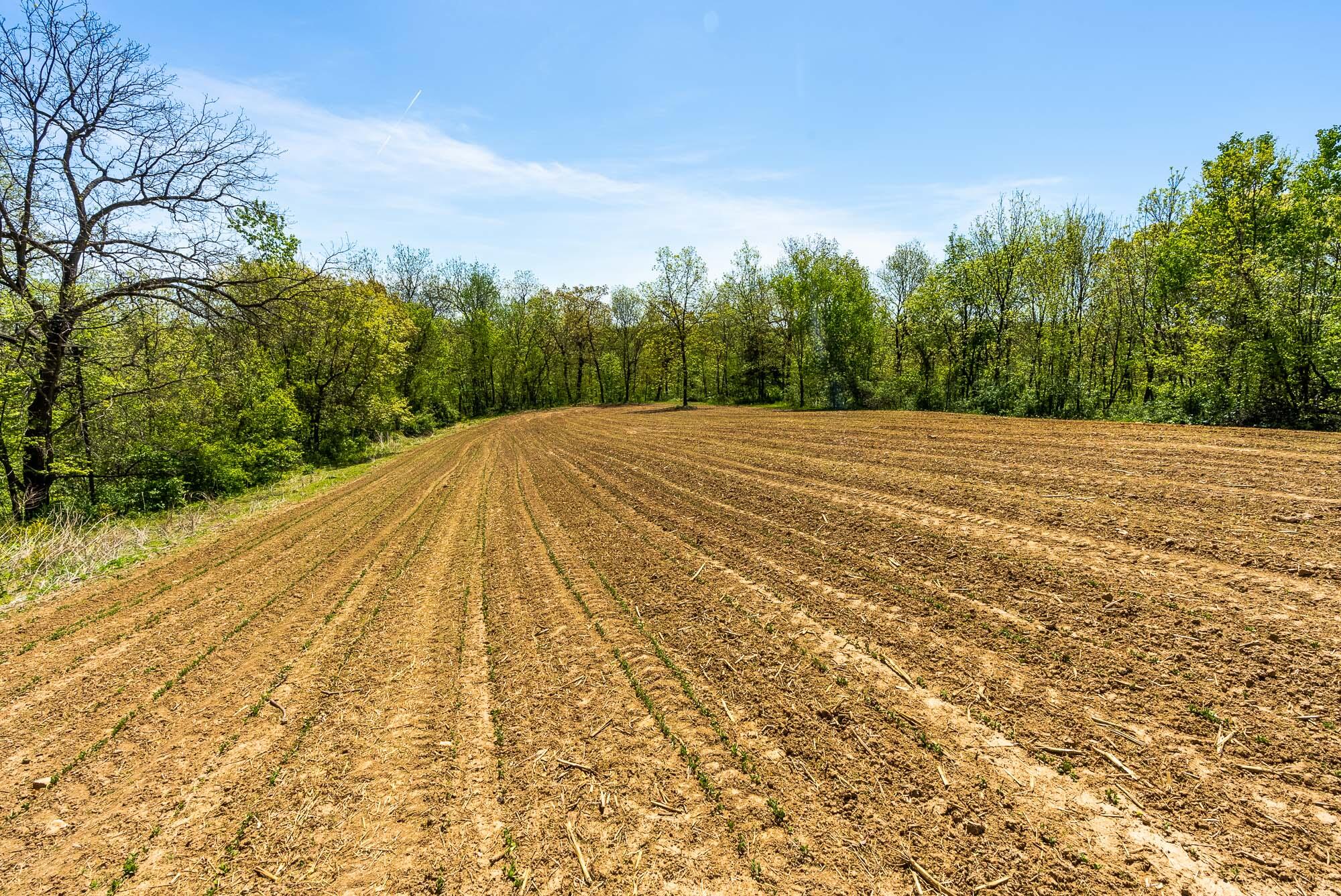 15999 Biba Road Muscoda, WI 53573 - Photo 81 of 103 Grant-County-WI-160-Acres-Land-For-Sale-