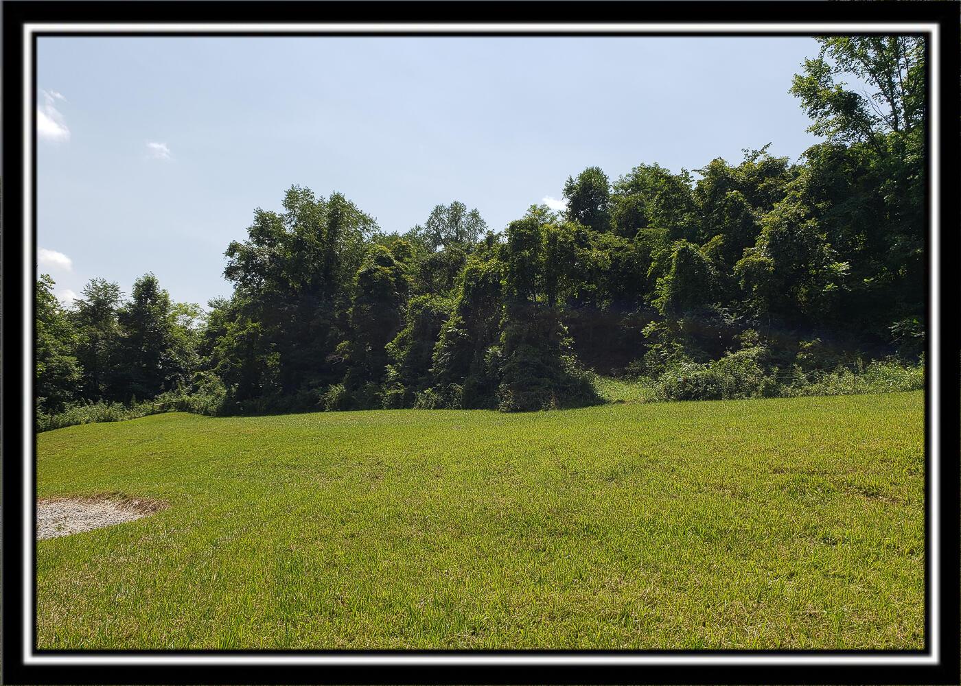 0 Bethel Road, Unit TRACT 4 Patriot, OH 45658 - Photo 12 of 35 CT-12