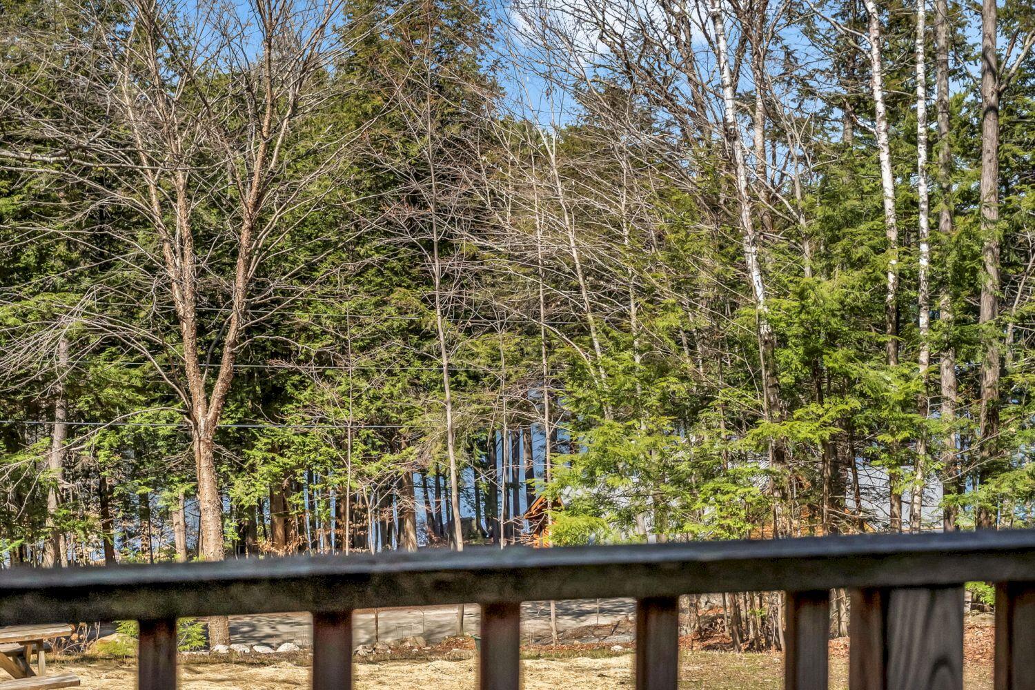 59 Fellows Cove Road Fayette, ME 04349 - Photo 80 of 90 59 Fellows Cove Road