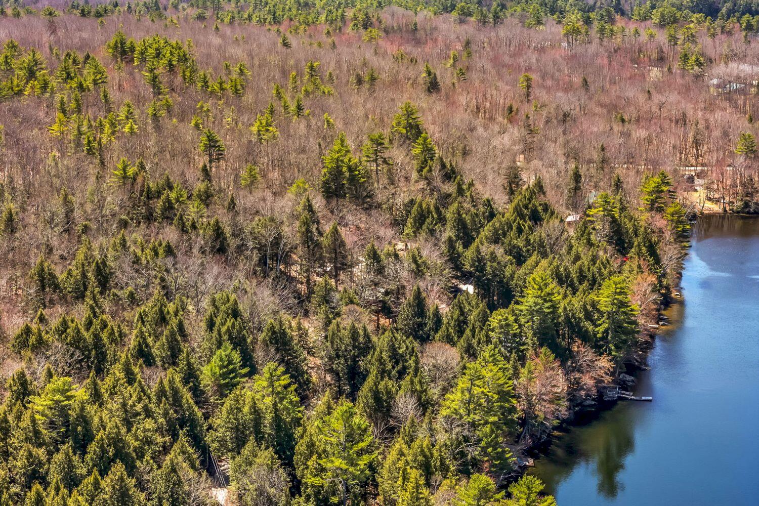 59 Fellows Cove Road Fayette, ME 04349 - Photo 87 of 90 59 Fellows Cove Road