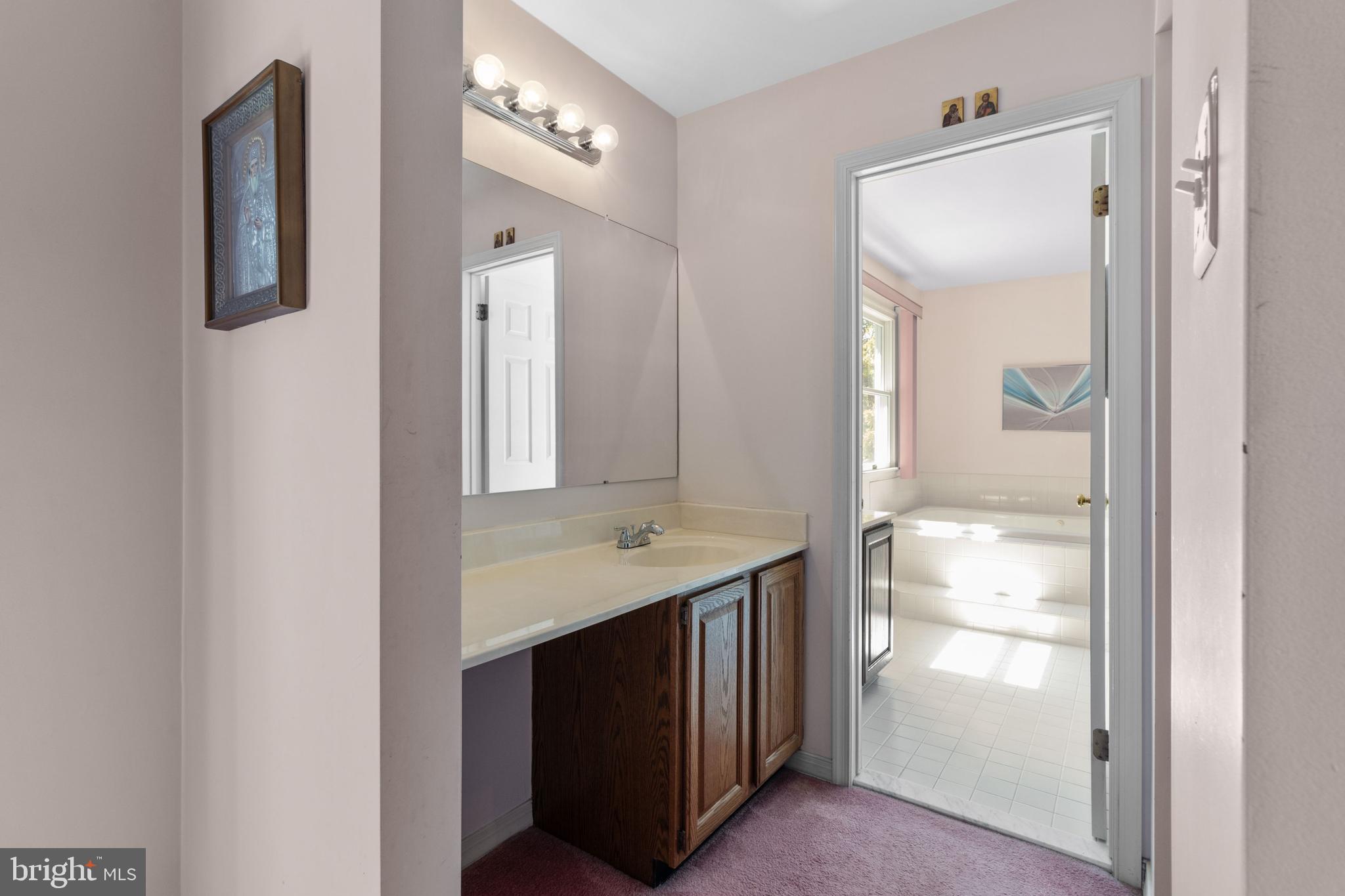 300 Windy Run Road Doylestown, PA 18901 - Photo 26 of 52 Primary Bathroom