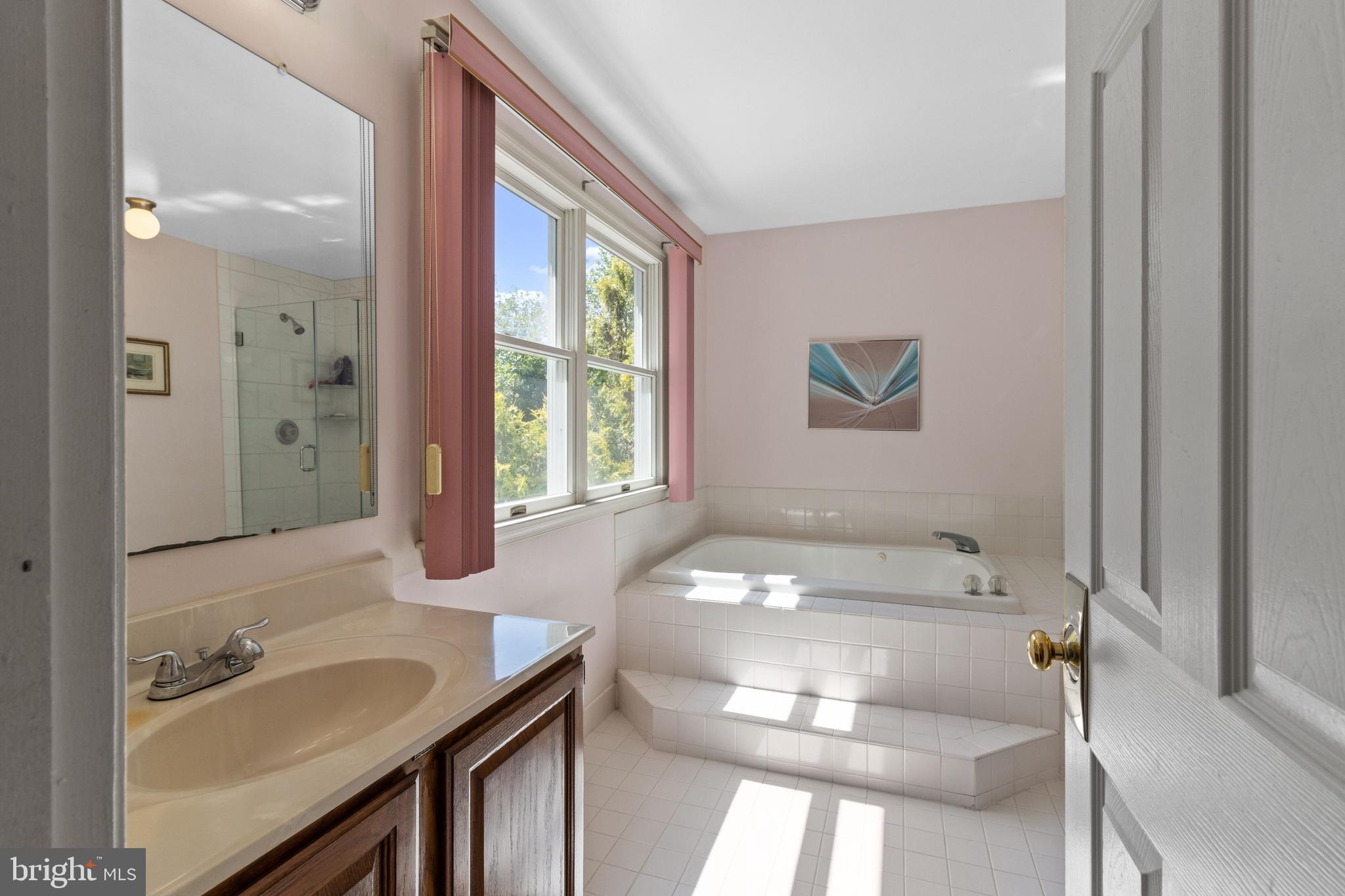 300 Windy Run Road Doylestown, PA 18901 - Photo 27 of 52 Primary Bathroom