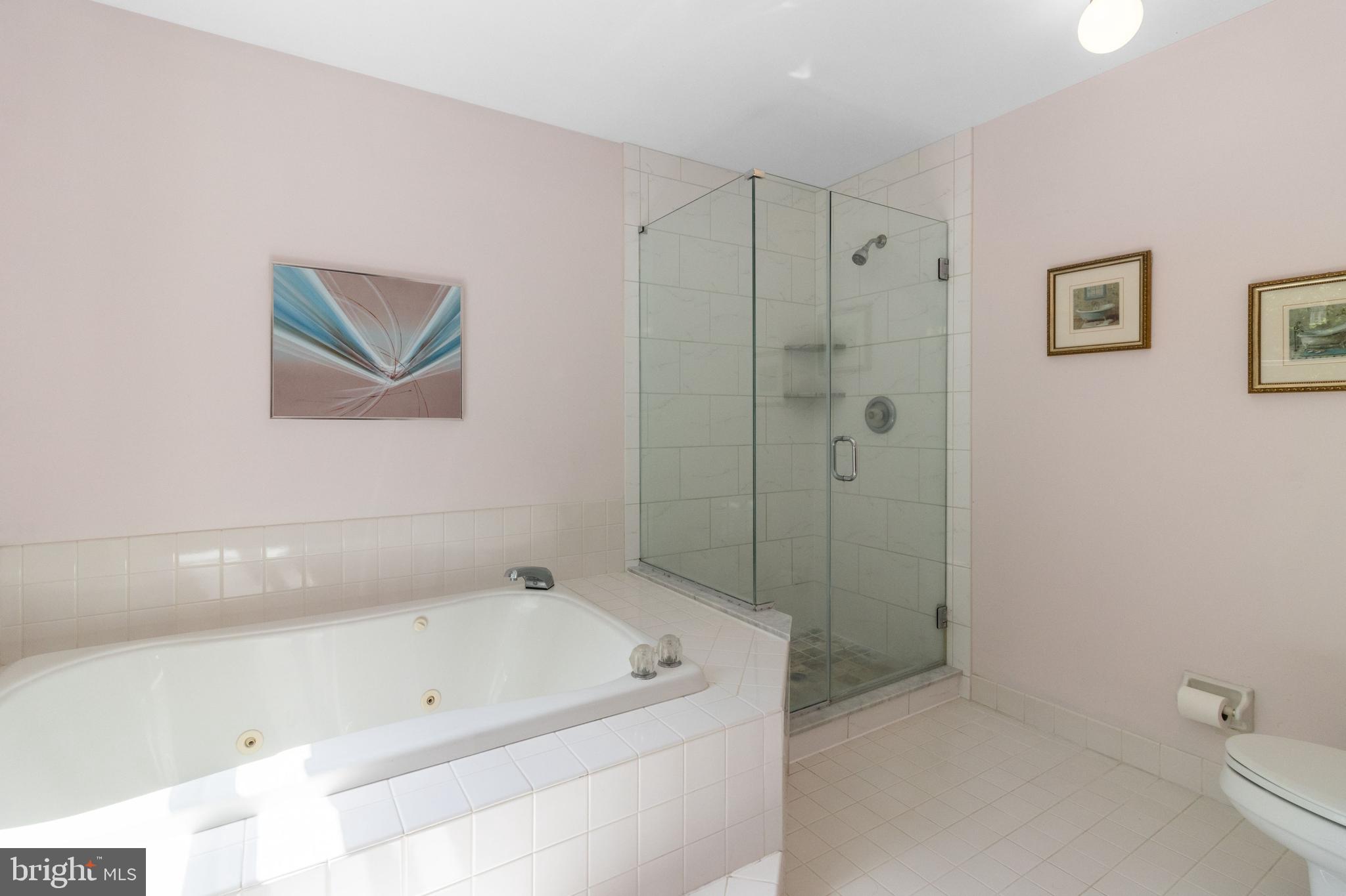 300 Windy Run Road Doylestown, PA 18901 - Photo 28 of 52 Soaking Tub with Walk-In Shower - Seamless Door