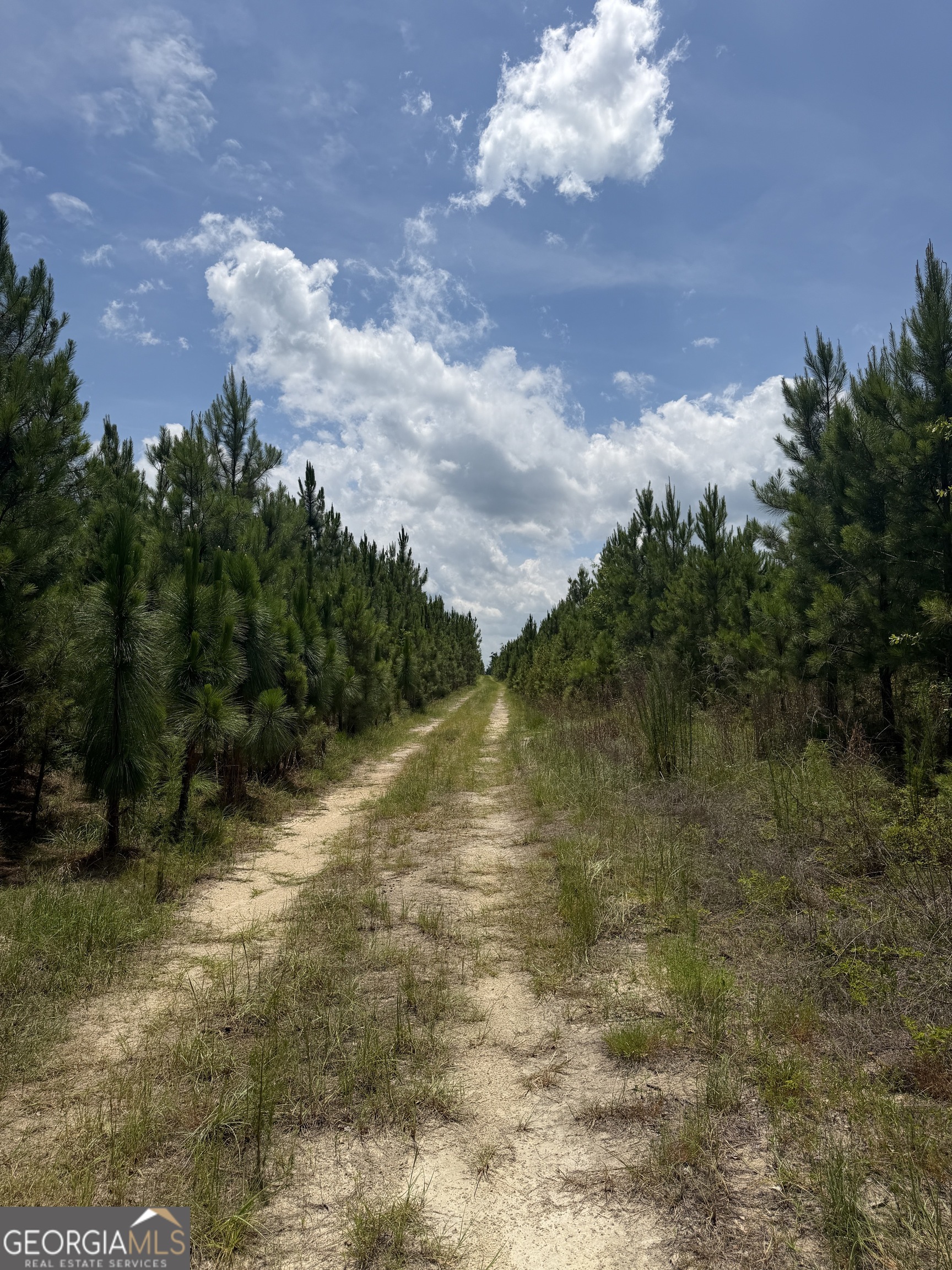 0 West River Road Rhine, GA 31077 - Photo 11 of 31
