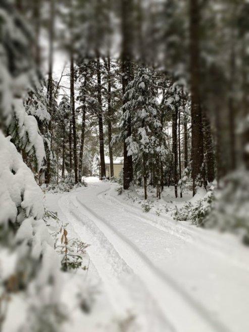 21 Meldrum Road Kingfield, ME 04947 - Photo 2 of 18 Driveway to Camp