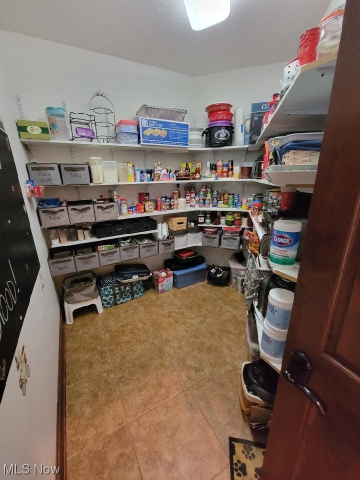 3413 Heyl Road Wooster, OH 44691 - Photo 11 of 30 Huge walk-in pantry