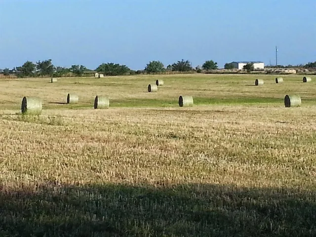 a view of a lake and green valley