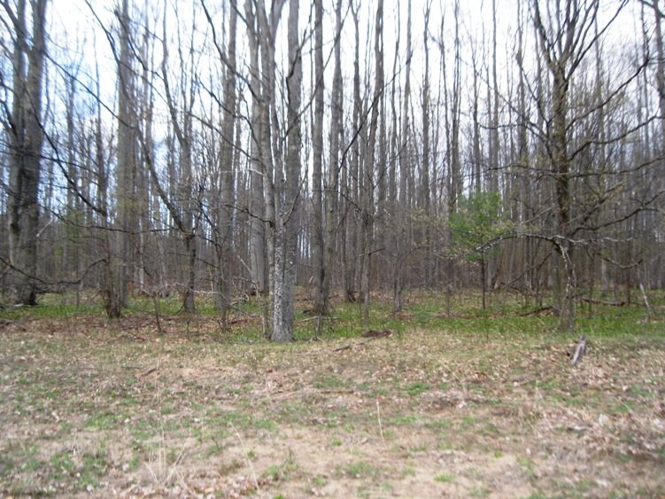 915 West Sharon Road Fife Lake, MI 49633 - Photo 49 of 56 1815651-49.JPG