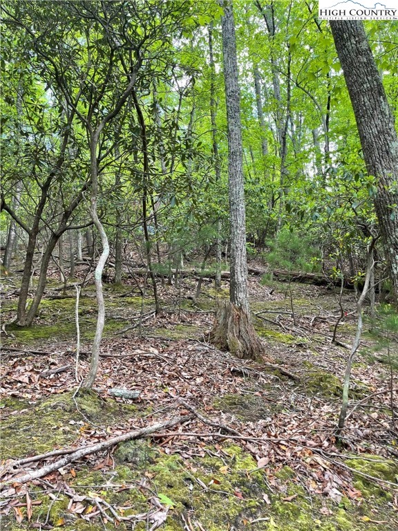 Lot 65 Hawk Ridge Road Deep Gap, NC 28618 - Photo 6 of 17 Gallery Image 6