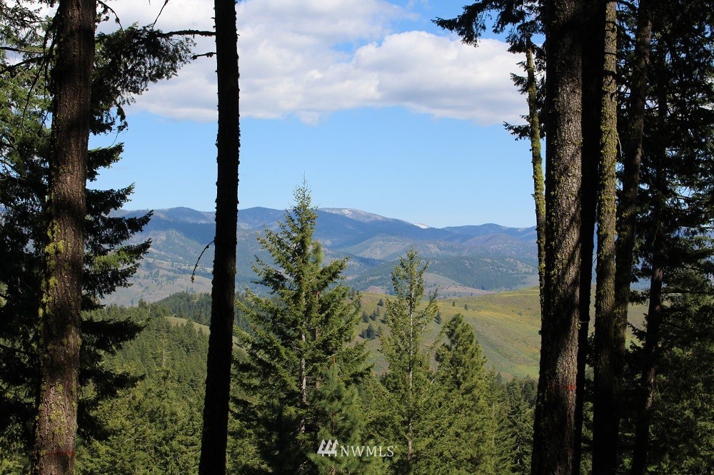 177 Bear Fight Road Winthrop, WA 98862 - Photo 1 of 10 Gallery Image 1