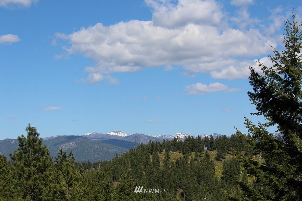 177 Bear Fight Road Winthrop, WA 98862 - Photo 2 of 10 Gallery Image 2