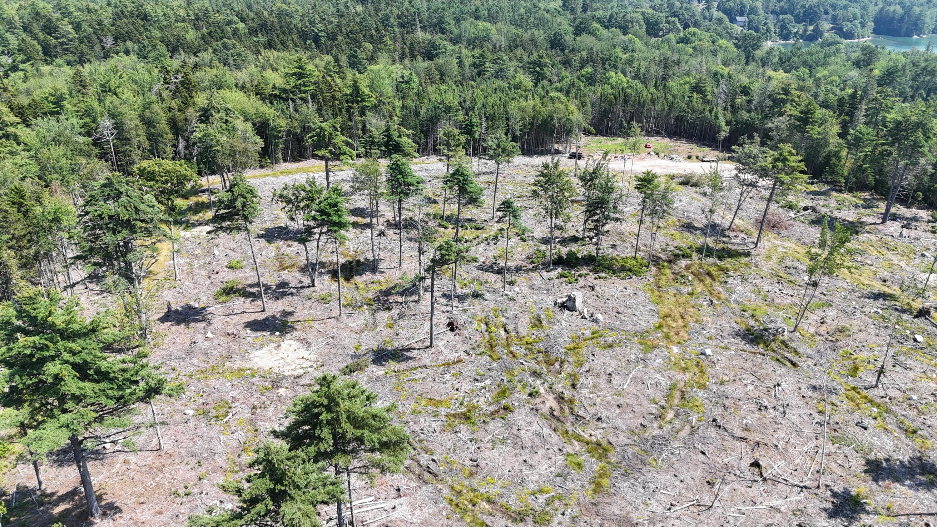 0 Solarina Avenue Sullivan, ME 04664 - Photo 5 of 10 cut area close