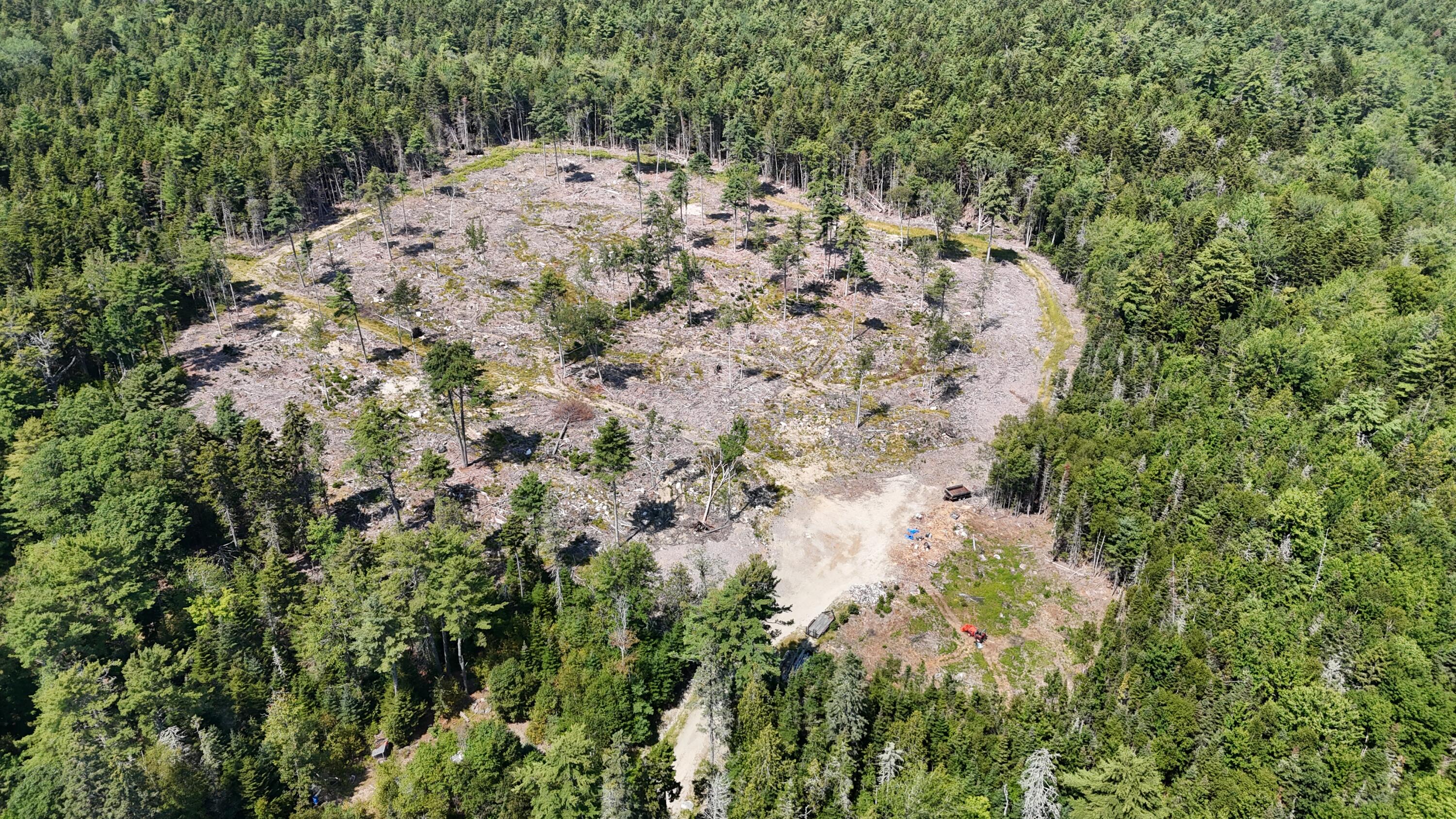 0 Solarina Avenue Sullivan, ME 04664 - Photo 6 of 10 full cut area