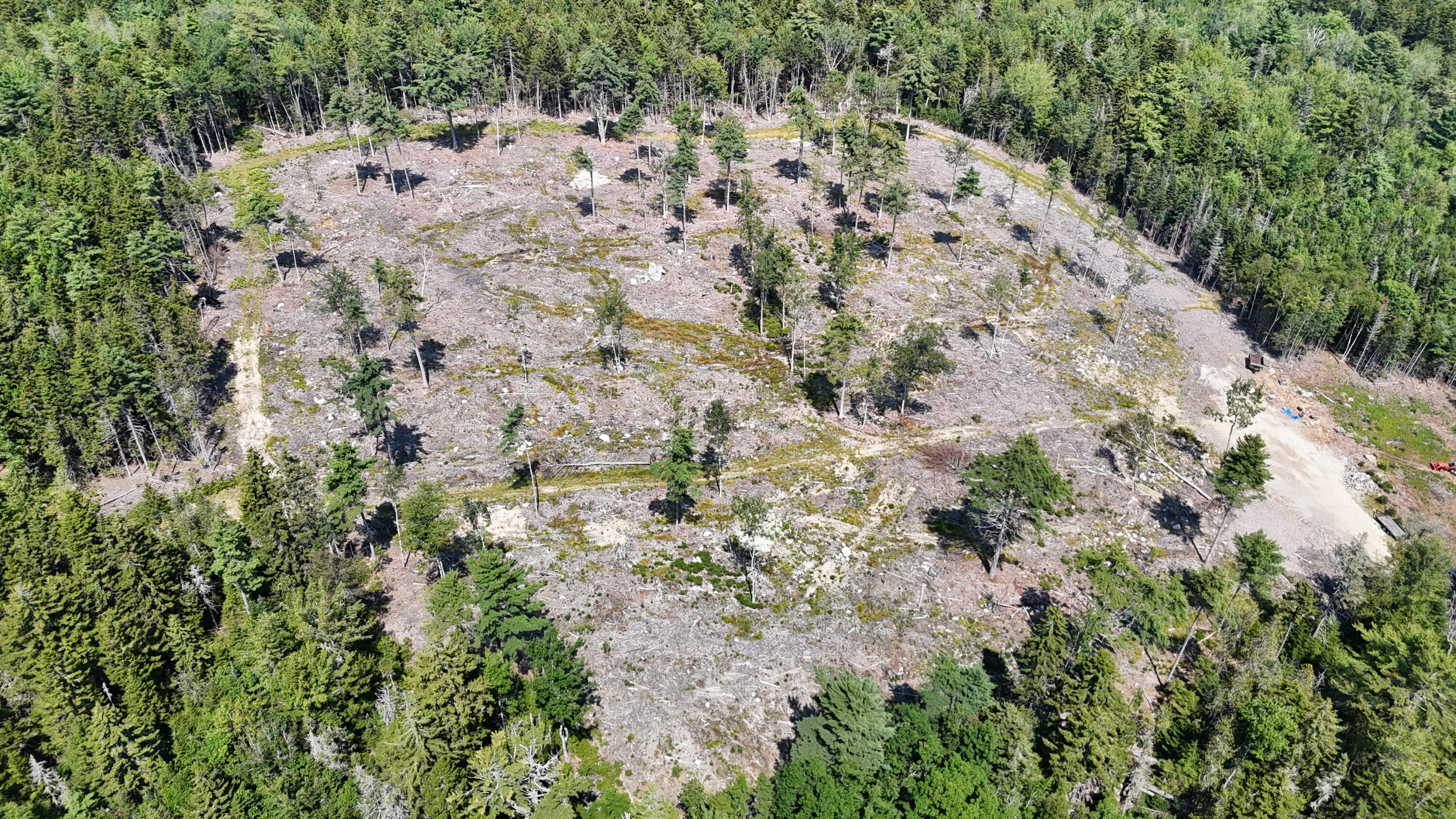 0 Solarina Avenue Sullivan, ME 04664 - Photo 10 of 10 MDI side full