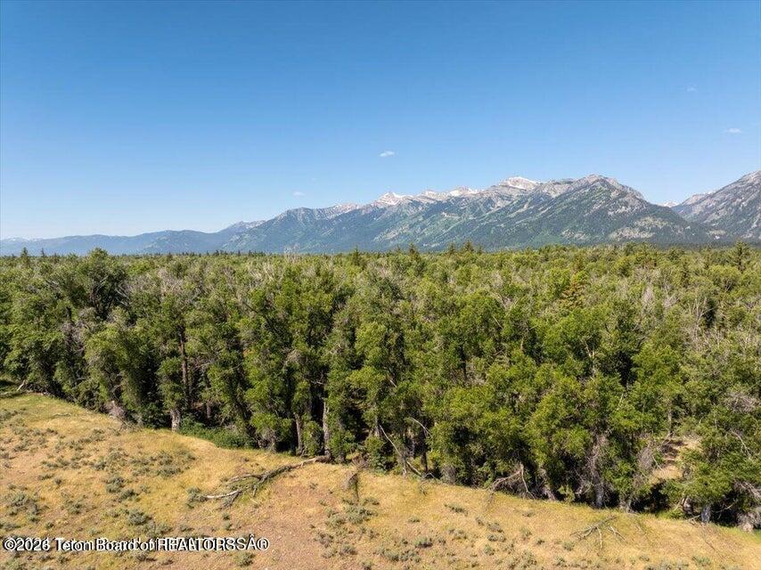 300 Reed Drive Jackson, WY 83001 - Photo 10 of 14 300 pic5